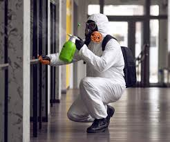 Best Emergency Mold Remediation  in Andrews, IN